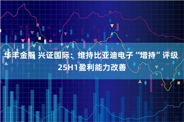 华丰金服 兴证国际：维持比亚迪电子“增持”评级 25H1盈利能力改善