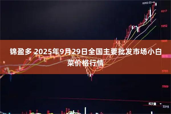 锦盈多 2025年9月29日全国主要批发市场小白菜价格行情